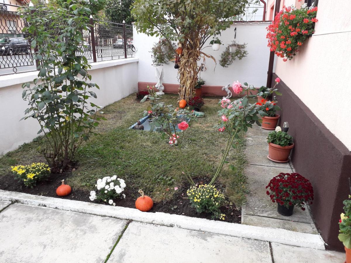 Mary Apartment Sibiu Exterior photo